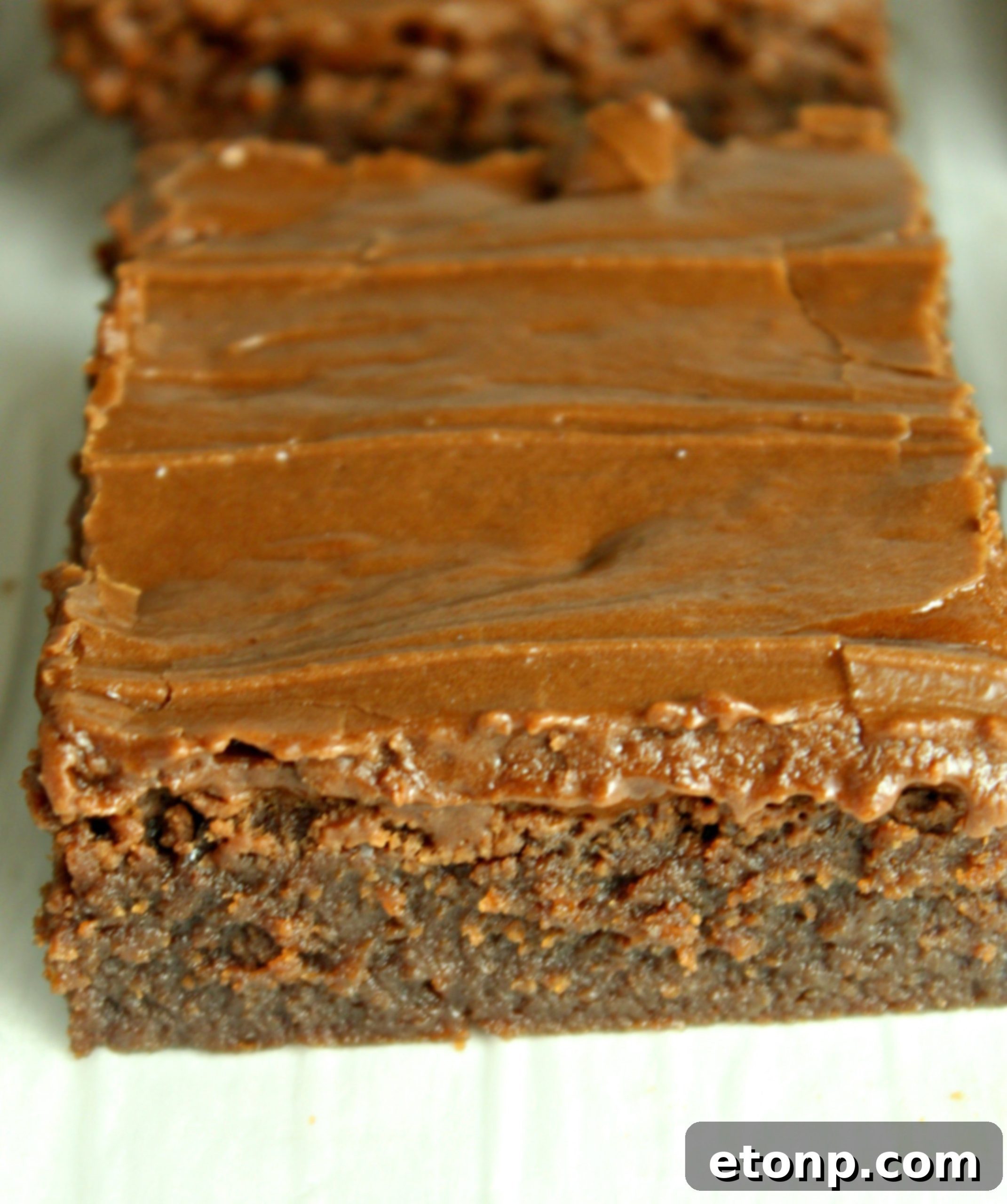 Homemade chocolate frosted lunch lady Brownie up close