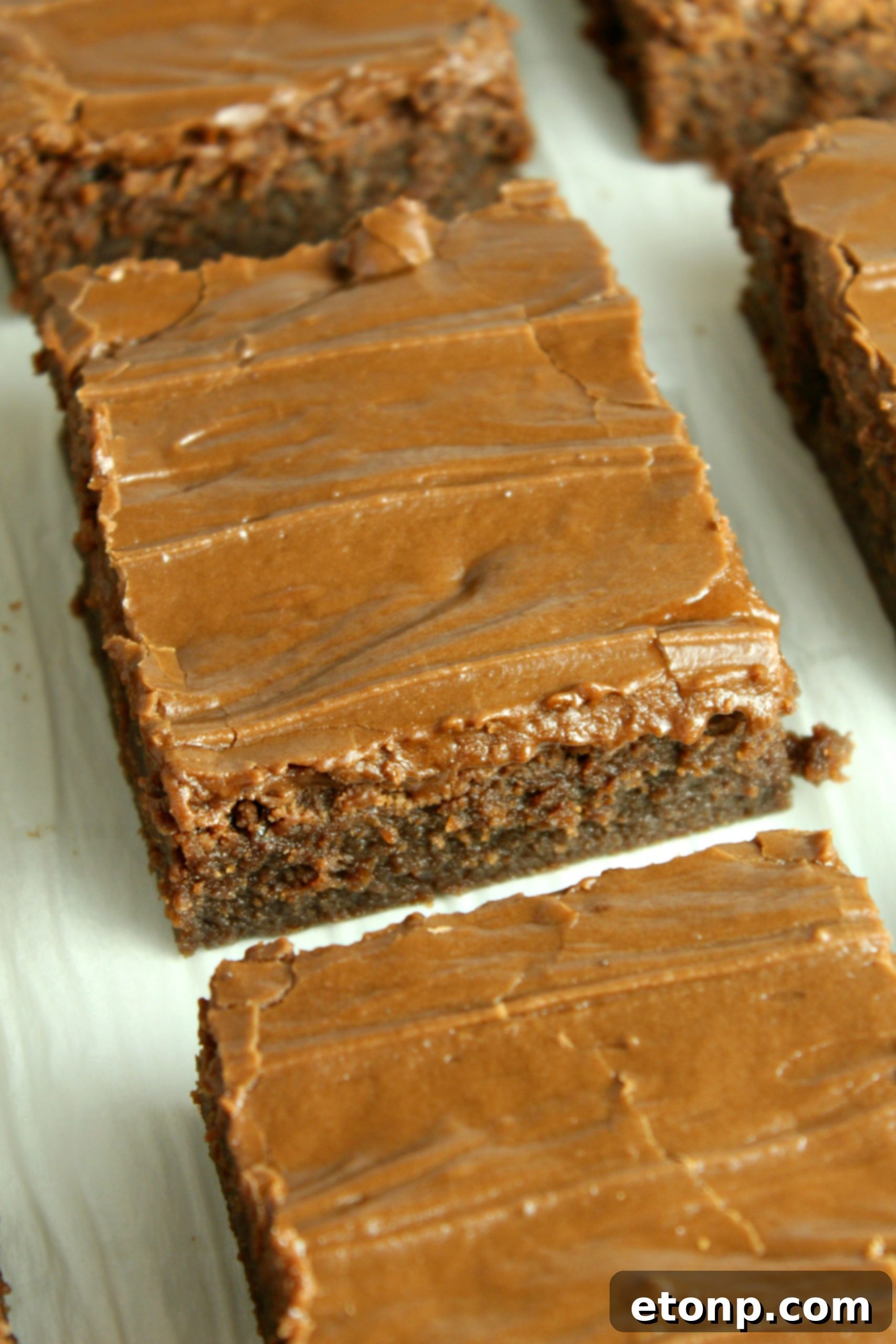 Homemade chocolate frosted lunch lady Brownies 