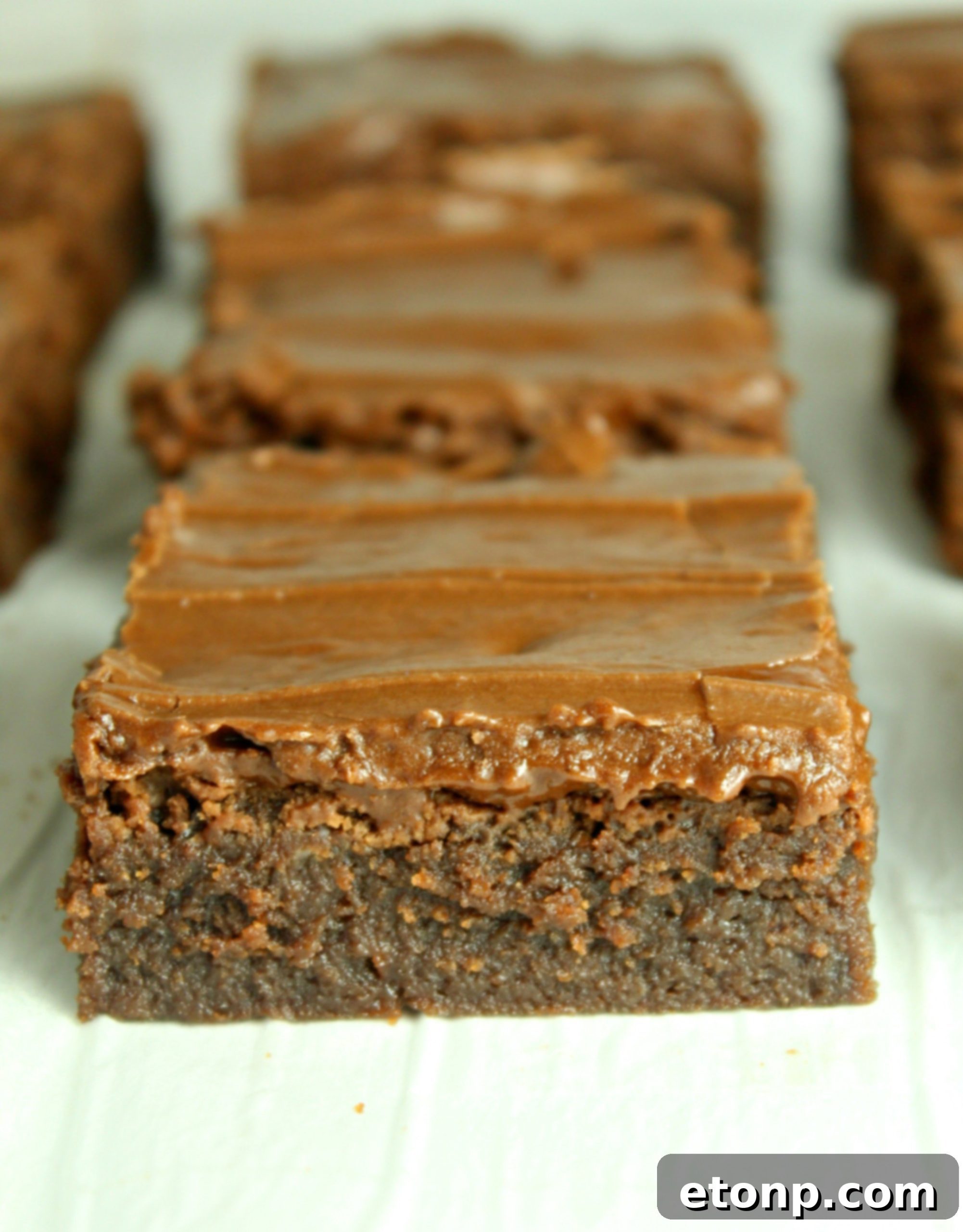 Homemade chocolate frosted lunch lady Brownies 