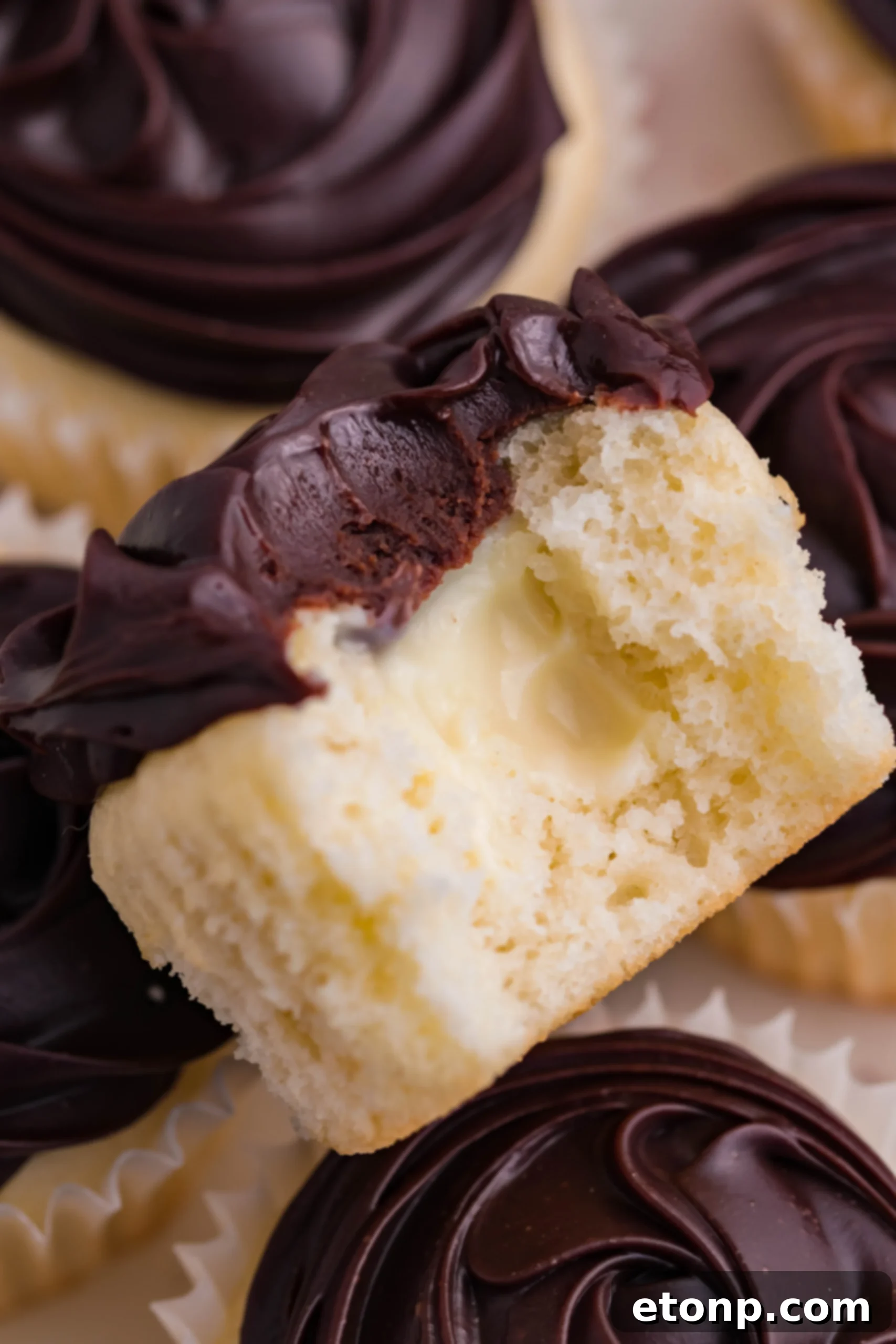 A perfectly baked Boston Cream Cupcake with a bite taken out, showcasing its rich chocolate ganache, creamy vanilla filling, and soft cake base.