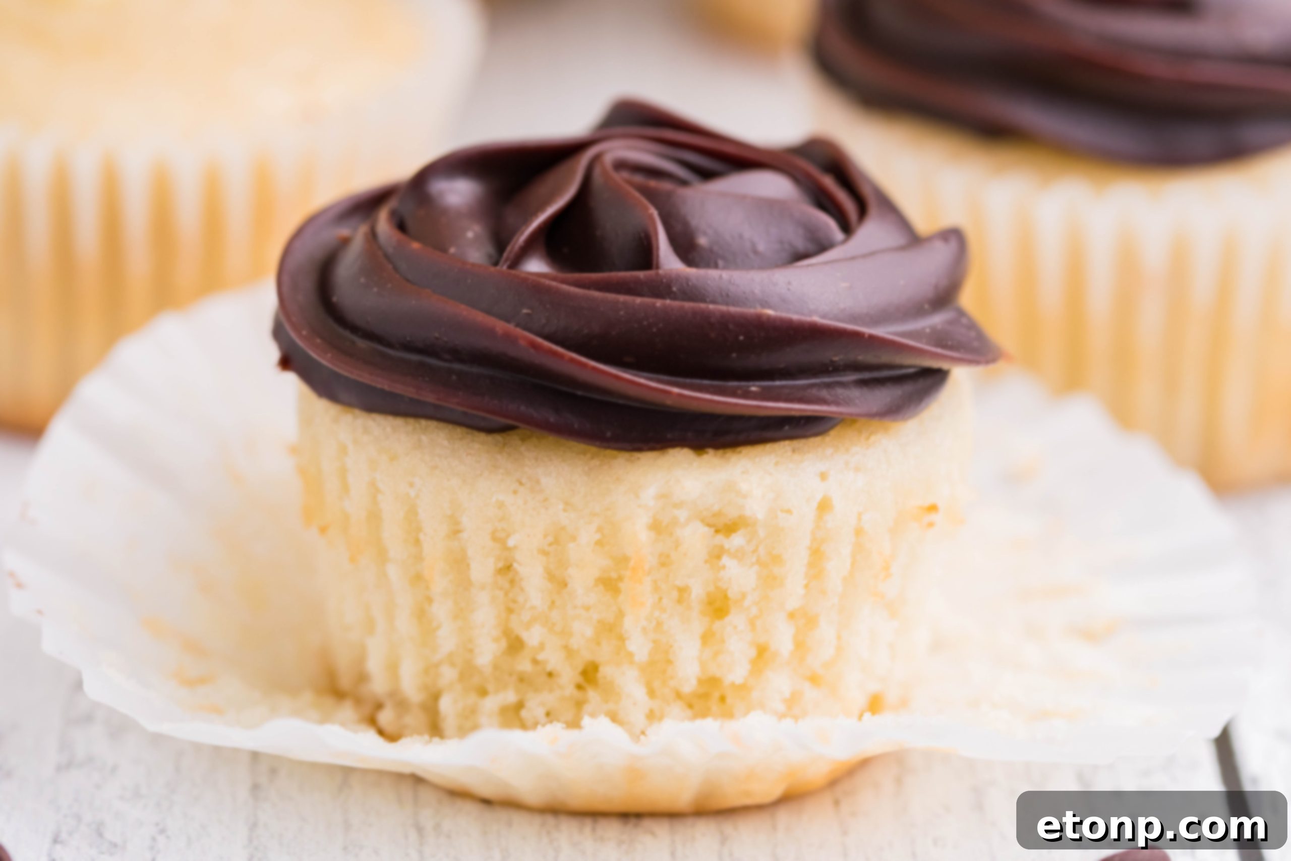 A beautifully presented trio of Boston Cream Cupcakes, perfectly piped with chocolate ganache, on a clean white surface.
