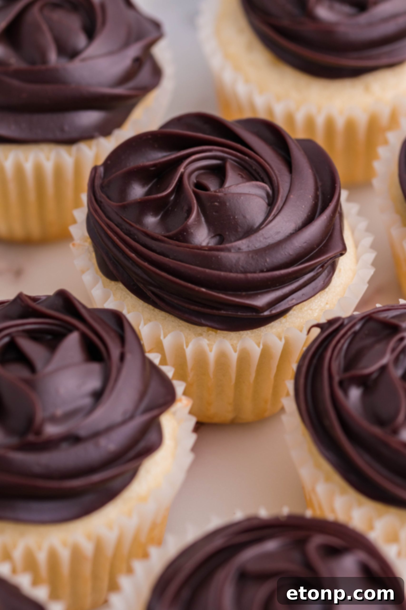 A pristine display of Boston Cream Cupcakes, each topped with a delicate rosette of chocolate ganache, artfully arranged on a white counter.