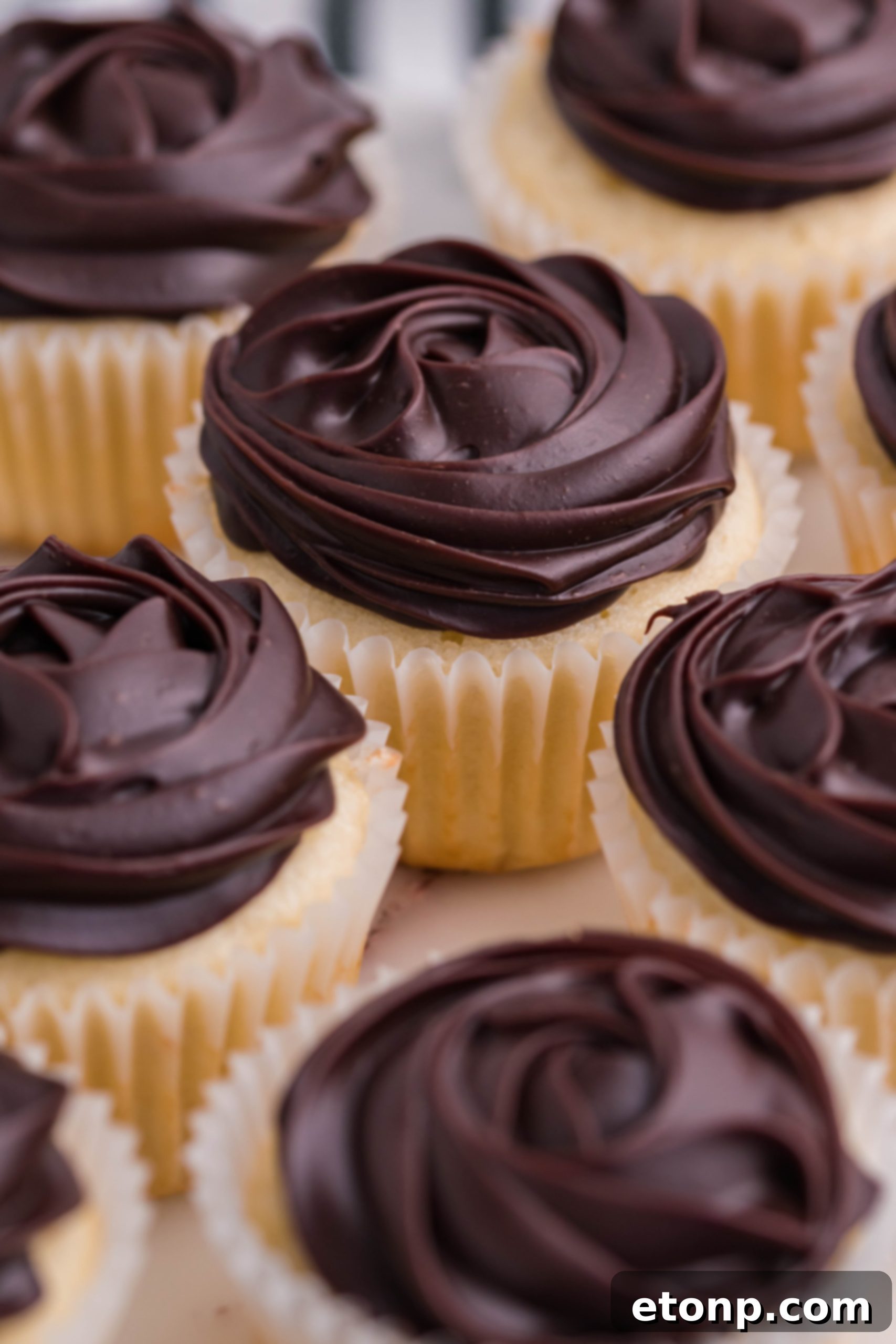 An inviting overhead shot of perfectly crafted Boston Cream Cupcakes, glistening with chocolate ganache, placed on a pristine white counter.