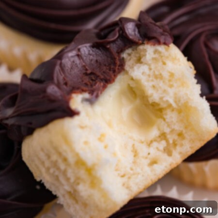 Homemade Boston Cream Cupcakes with a creamy vanilla filling and rich chocolate ganache.