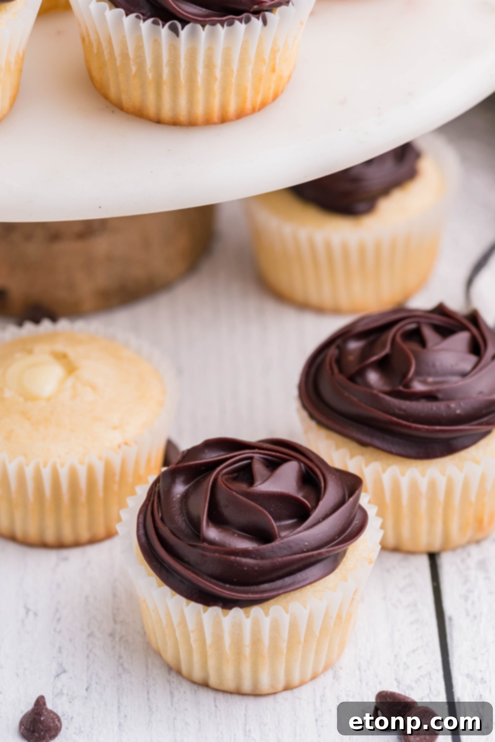 A collection of beautifully finished Boston Cream Cupcakes, topped with swirls of chocolate ganache, presented on a pristine white counter.