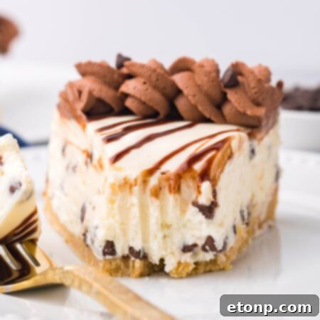 Chocolate Chip Cheesecake