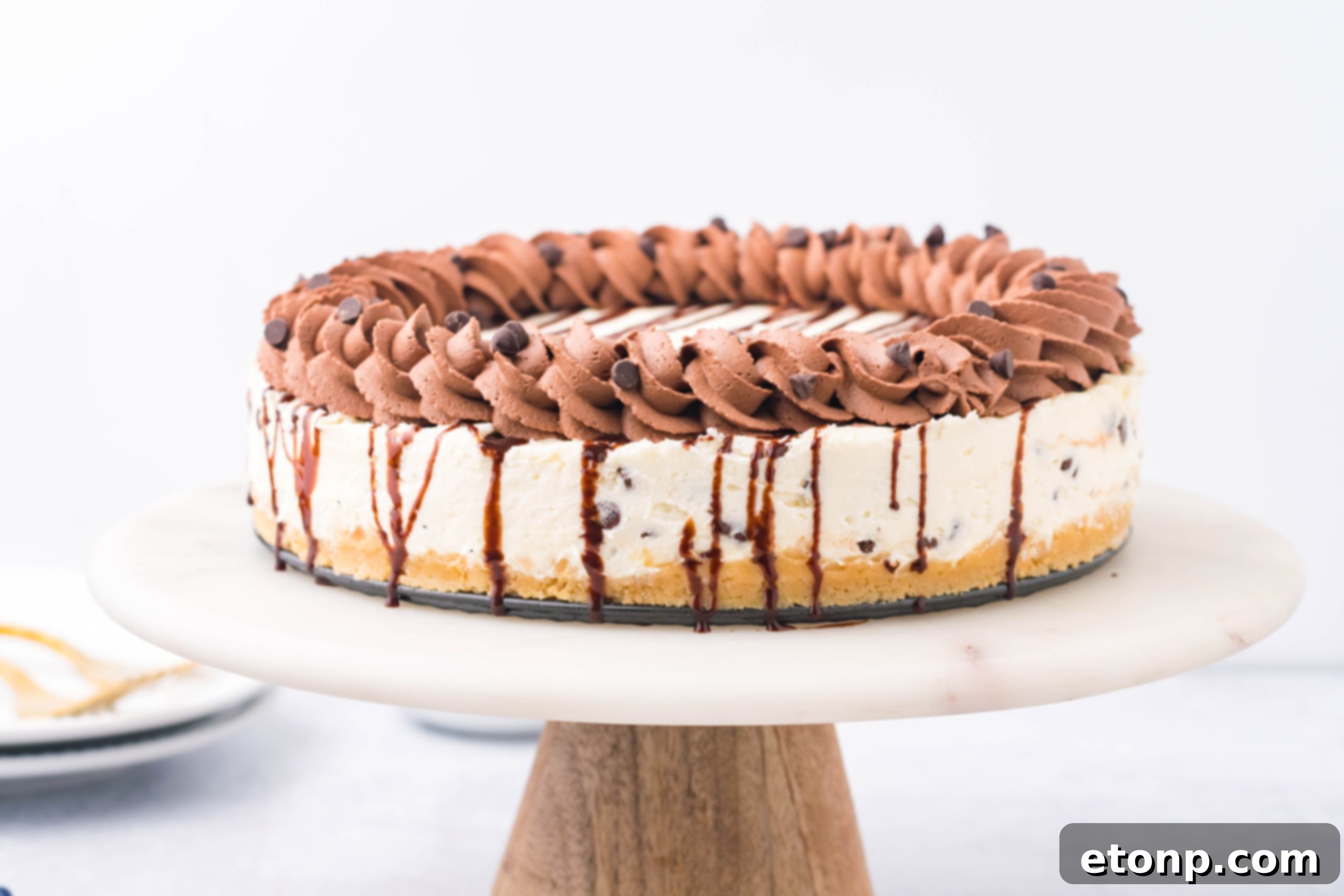 A whole Chocolate Chip Cheesecake presented beautifully on a cake stand.