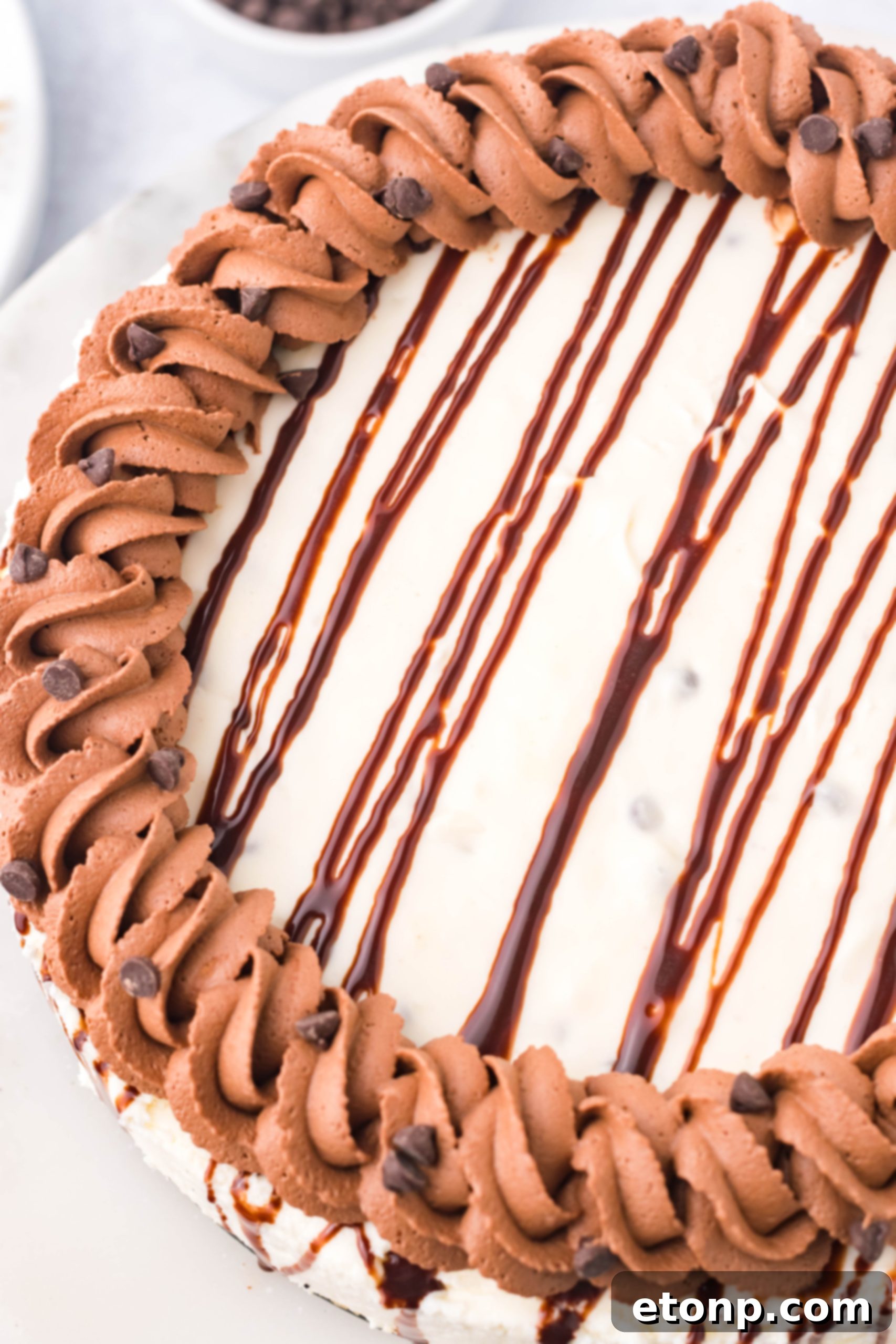 Overhead shot of a Chocolate Chip Cheesecake on a cake stand, highlighting its topping.