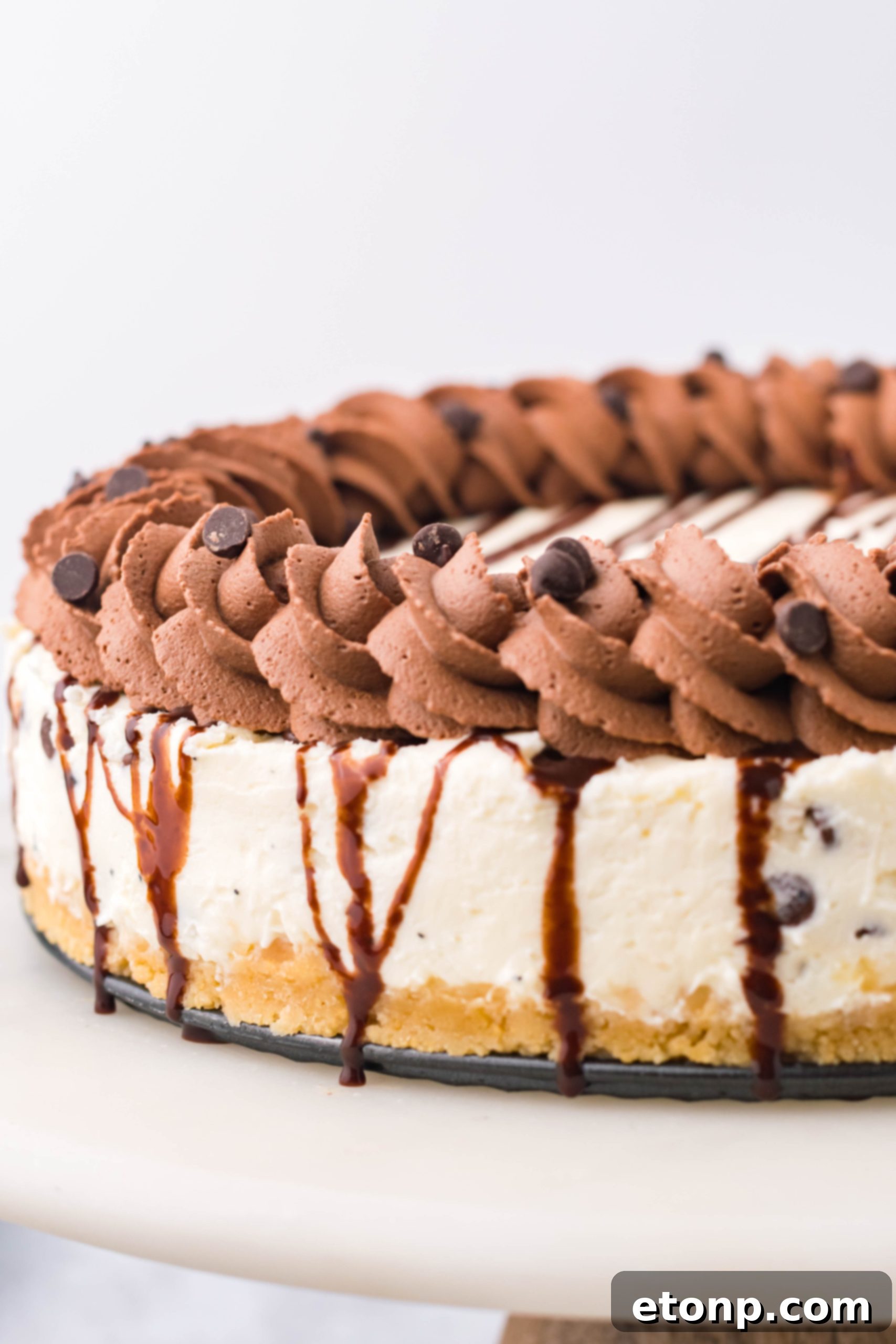 Side view of a Chocolate Chip Cheesecake on a cake stand, showcasing its layers.