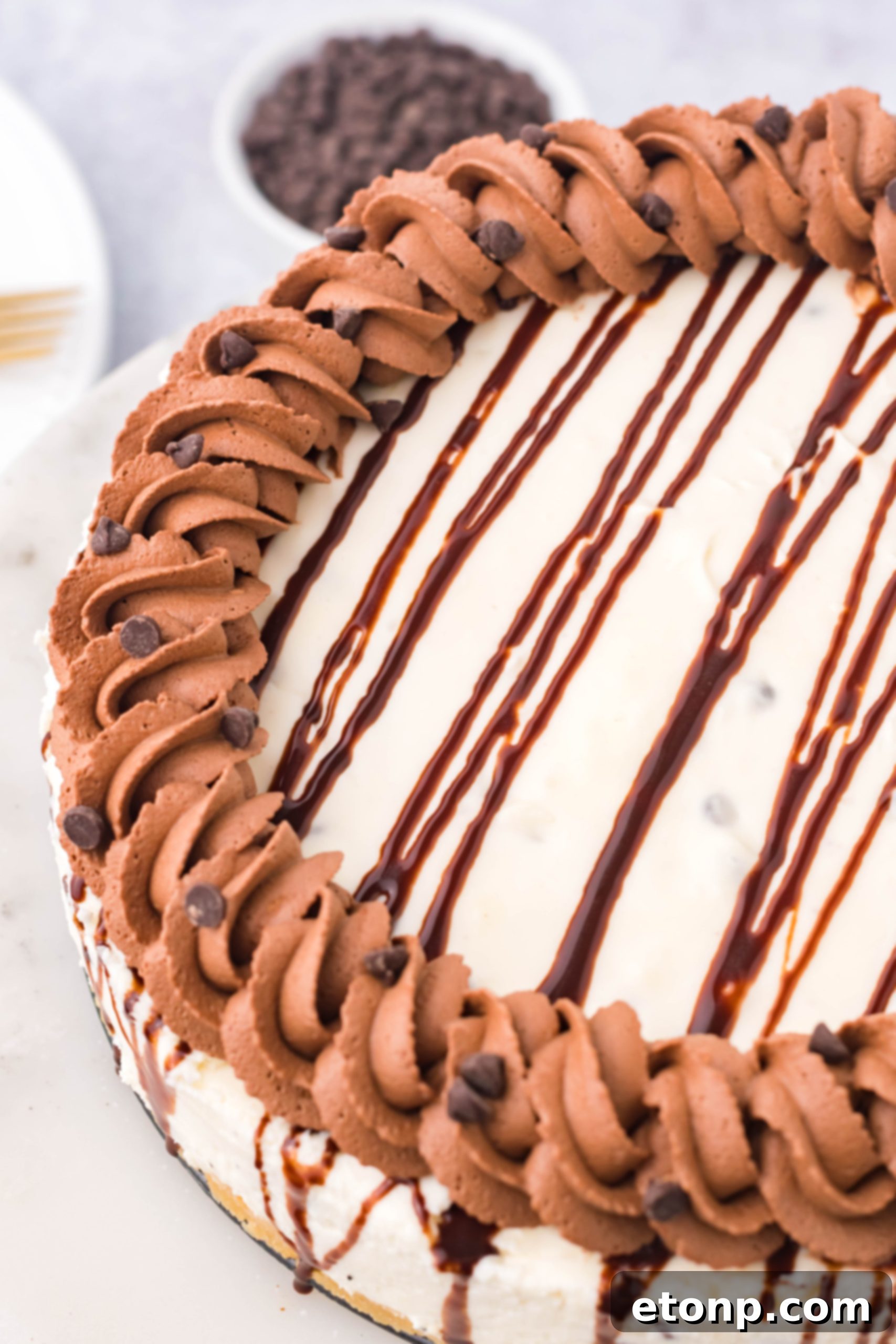 Overhead shot of a Chocolate Chip Cheesecake on a cake stand, ready for serving.