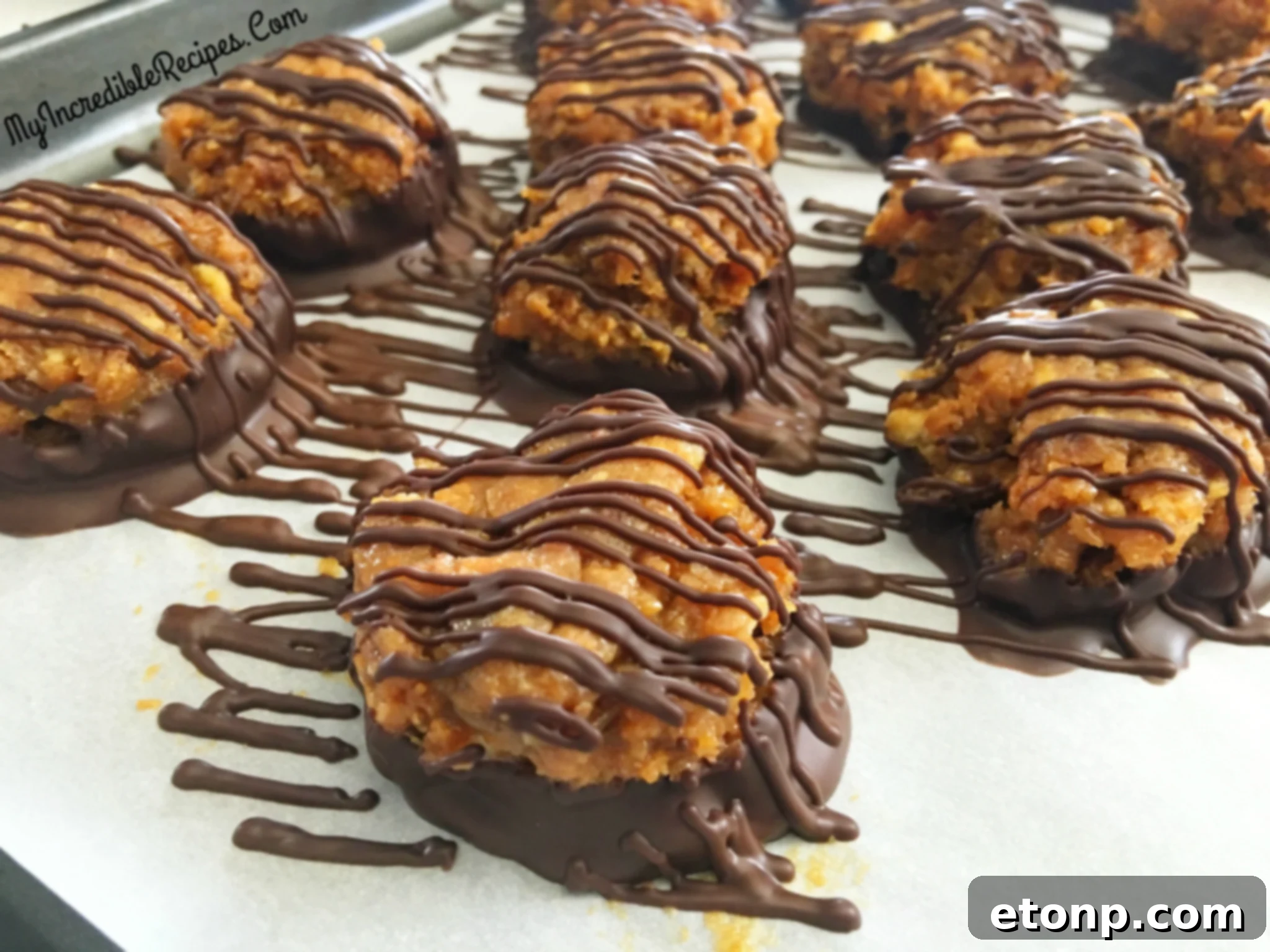 An overhead shot of several Samoa Bites, emphasizing their symmetrical and attractive presentation.