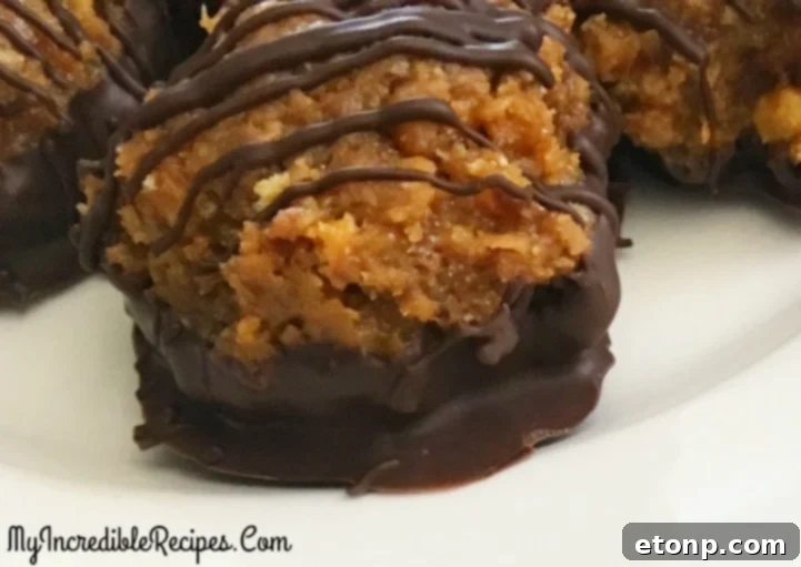 A close-up of Samoa Bites with a vibrant, detailed texture.