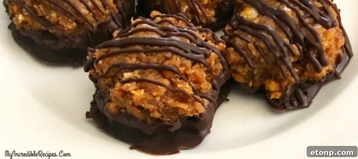 An additional image showcasing the mouth-watering appeal of Samoa Bites.