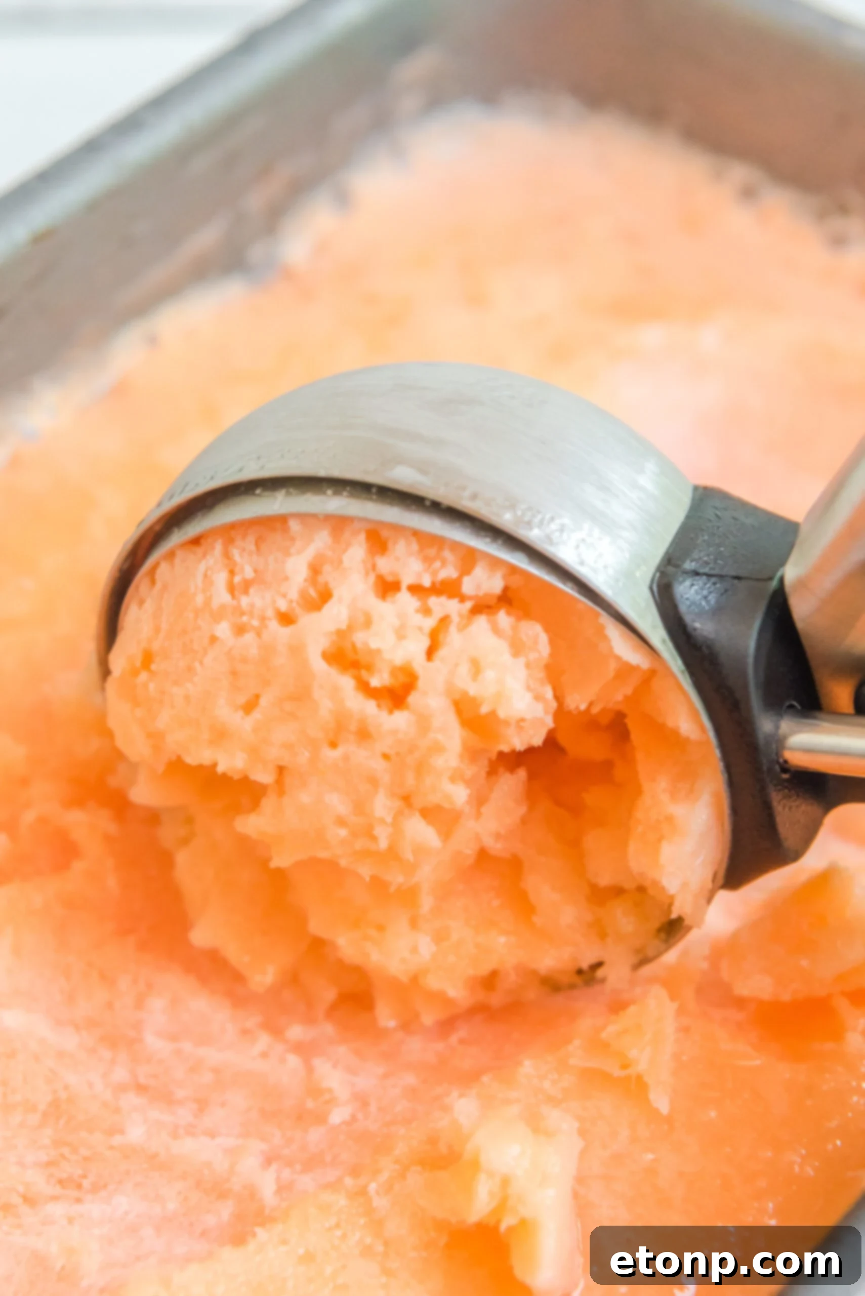 Sunburst Orange Sherbet 4 A scoop of Orange Crush Sherbet being lifted from a steel loaf pan