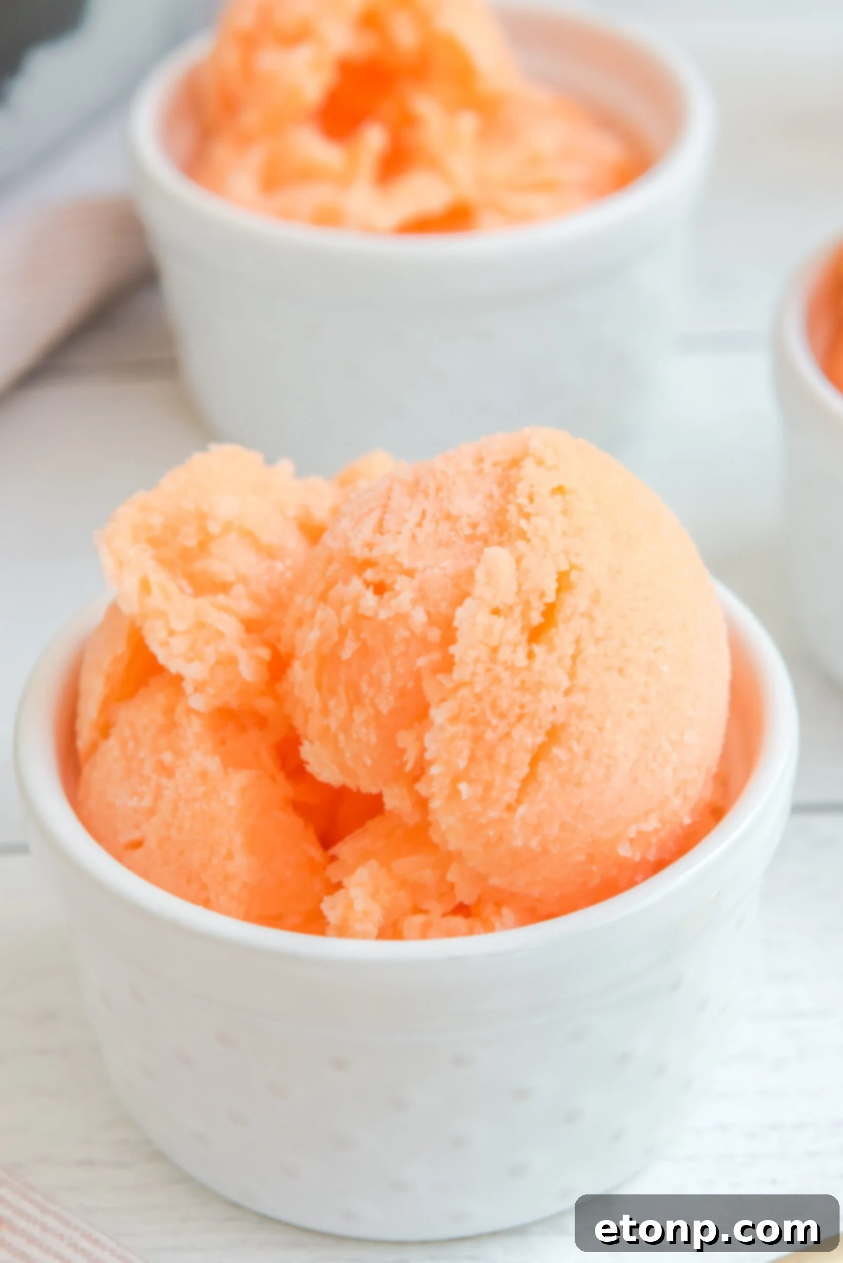 Sunburst Orange Sherbet 6 Close-up of Orange Crush Sherbet in a white bowl, showing its smooth texture