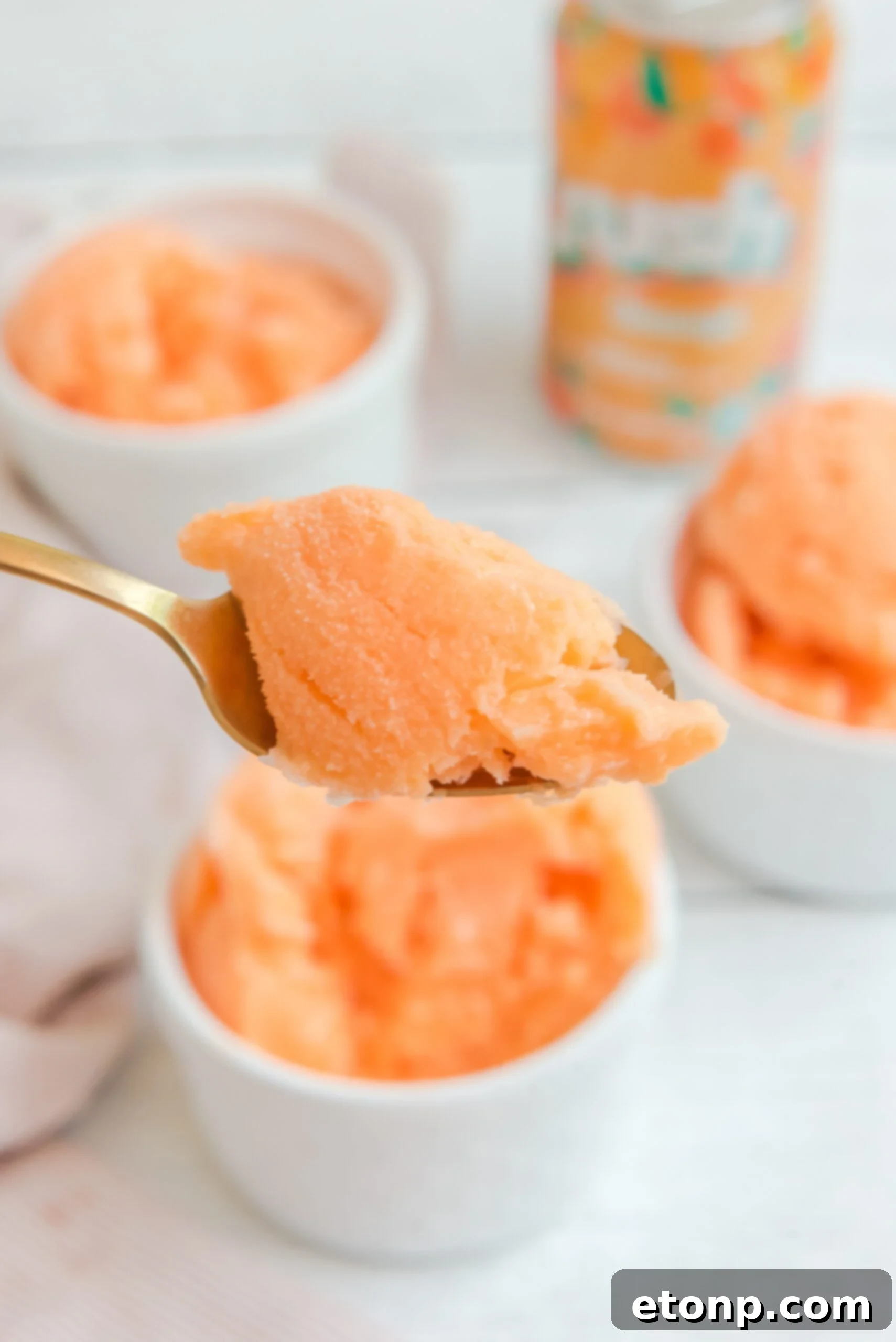 Sunburst Orange Sherbet 9 A golden spoon lifting a perfect scoop of Orange Crush Sherbet