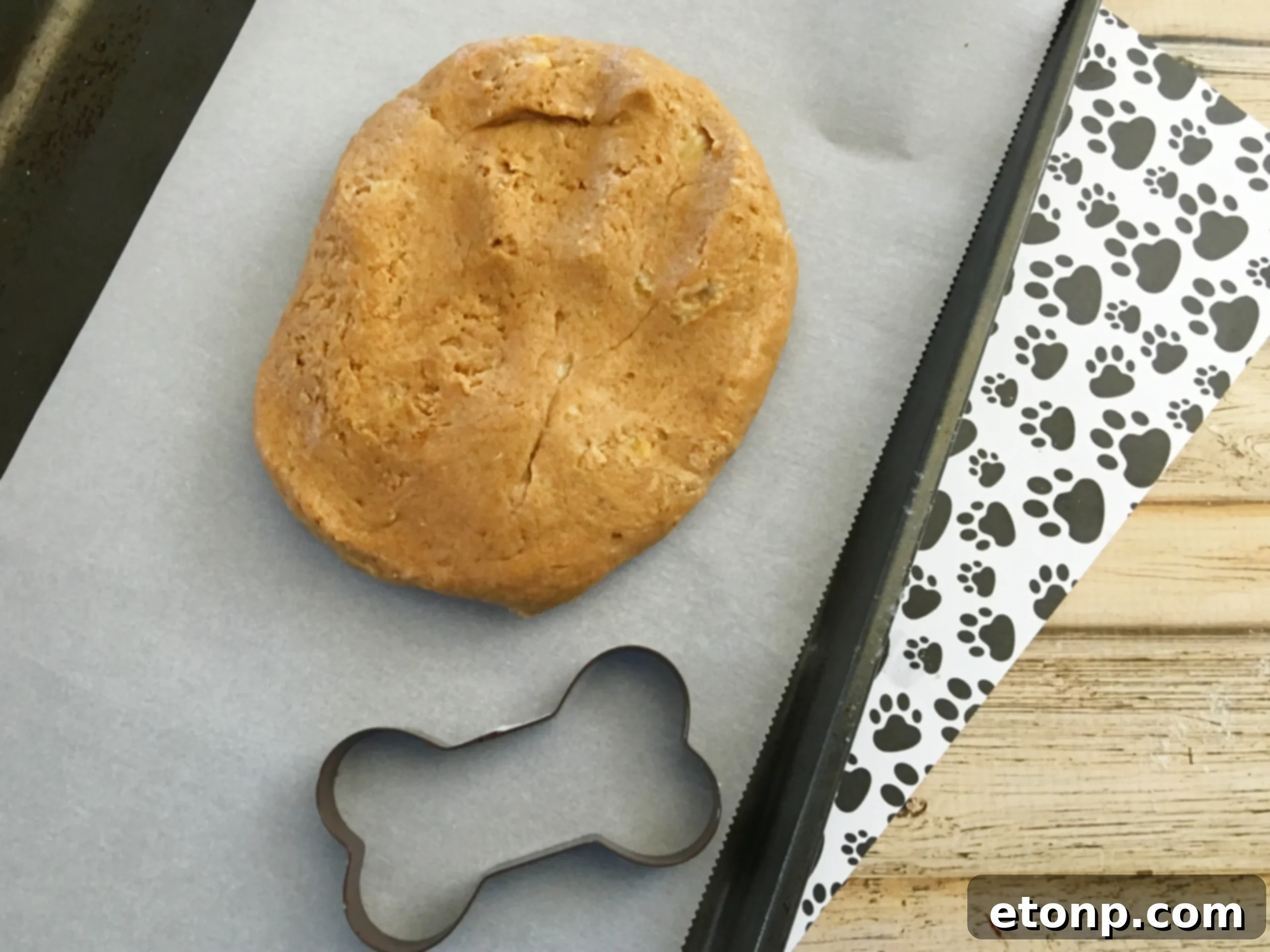 A dog treat being held up, showing its texture