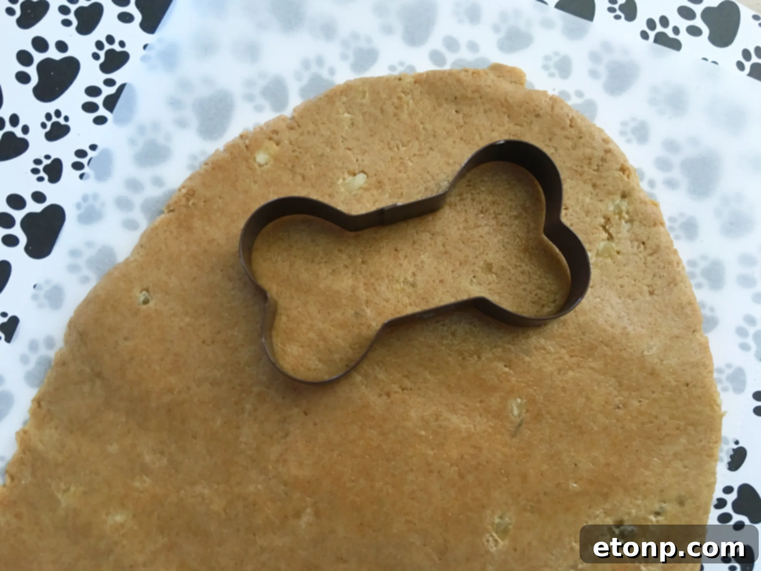 Assorted dog biscuits in various fun shapes