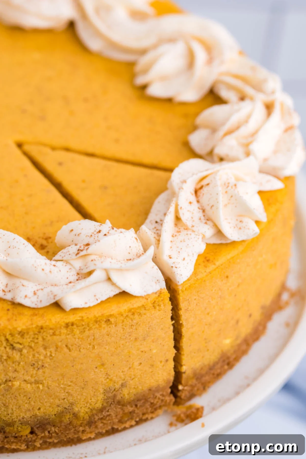 Pumpkin Cheesecake close up of the cheesecake on a cake stand with a slice cut out