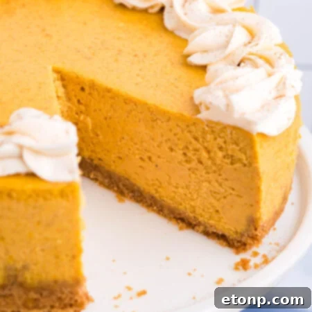 Pumpkin Cheesecake