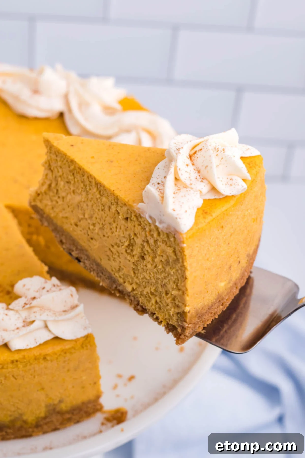 Pumpkin Cheesecake on a white cake stand with a spatula lifting out a slice