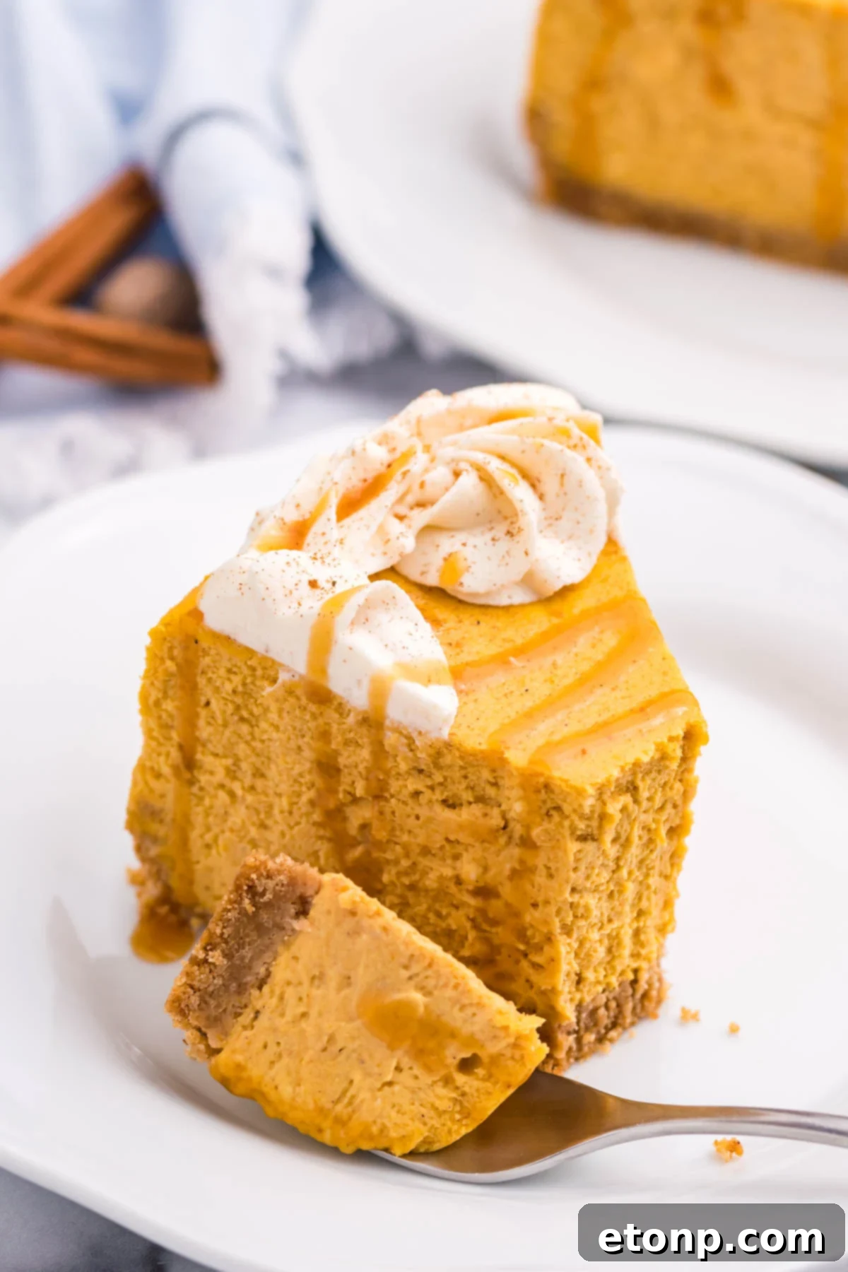 Pumpkin Cheesecake on a white plate