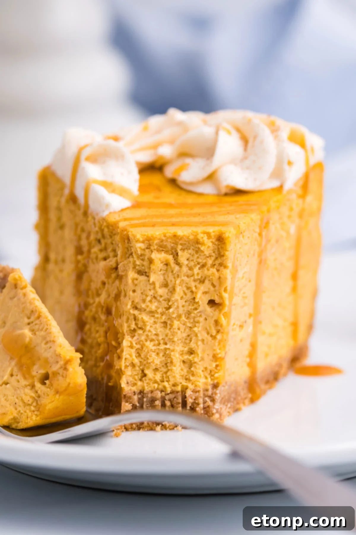 Pumpkin Cheesecake close up shot with a bite taken out