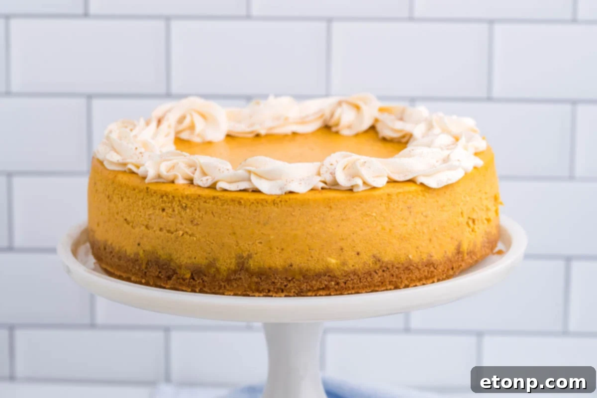 Pumpkin Cheesecake topped with whipped cream on a cake stand