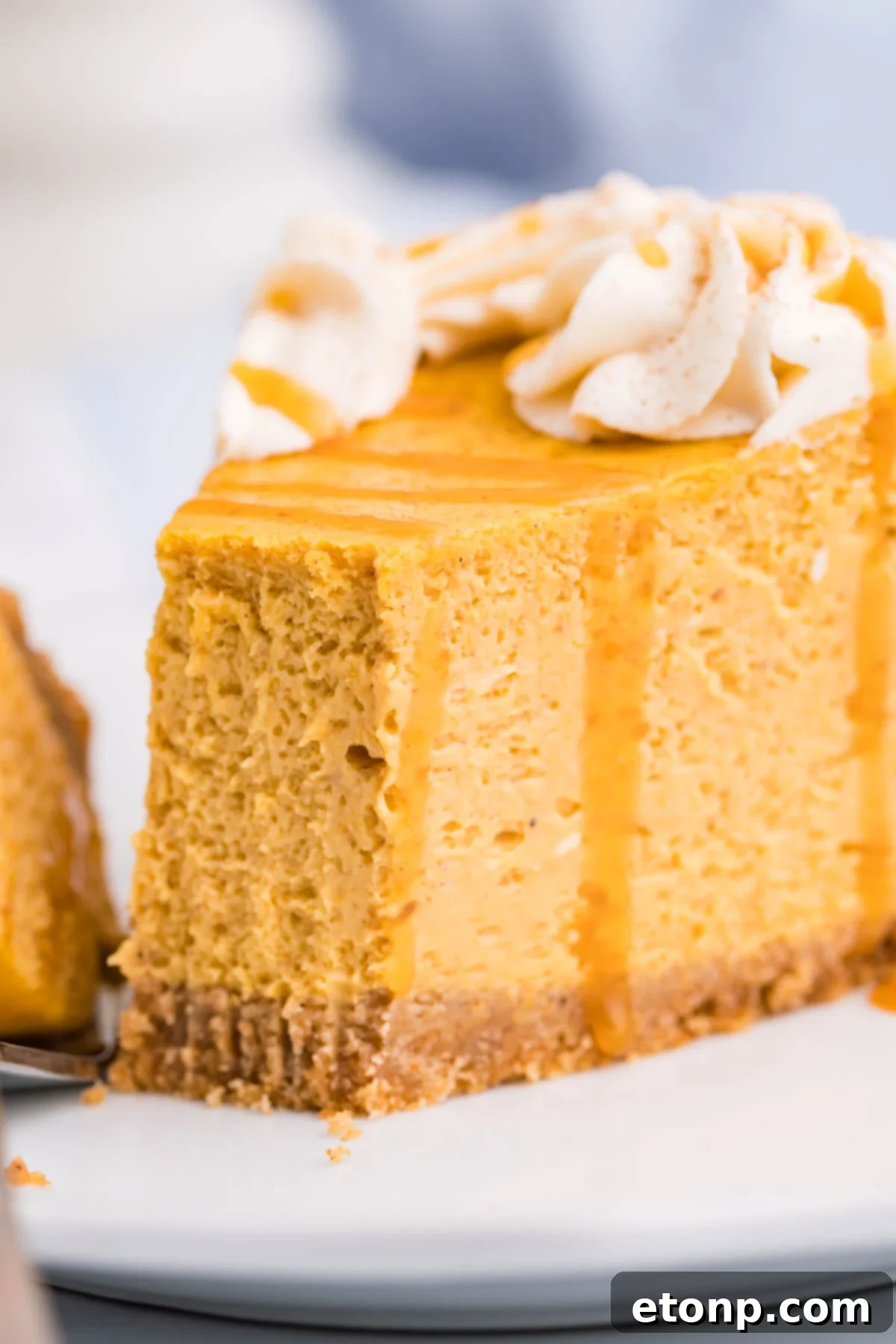 Pumpkin Cheesecake side shot of a slice on a white plate
