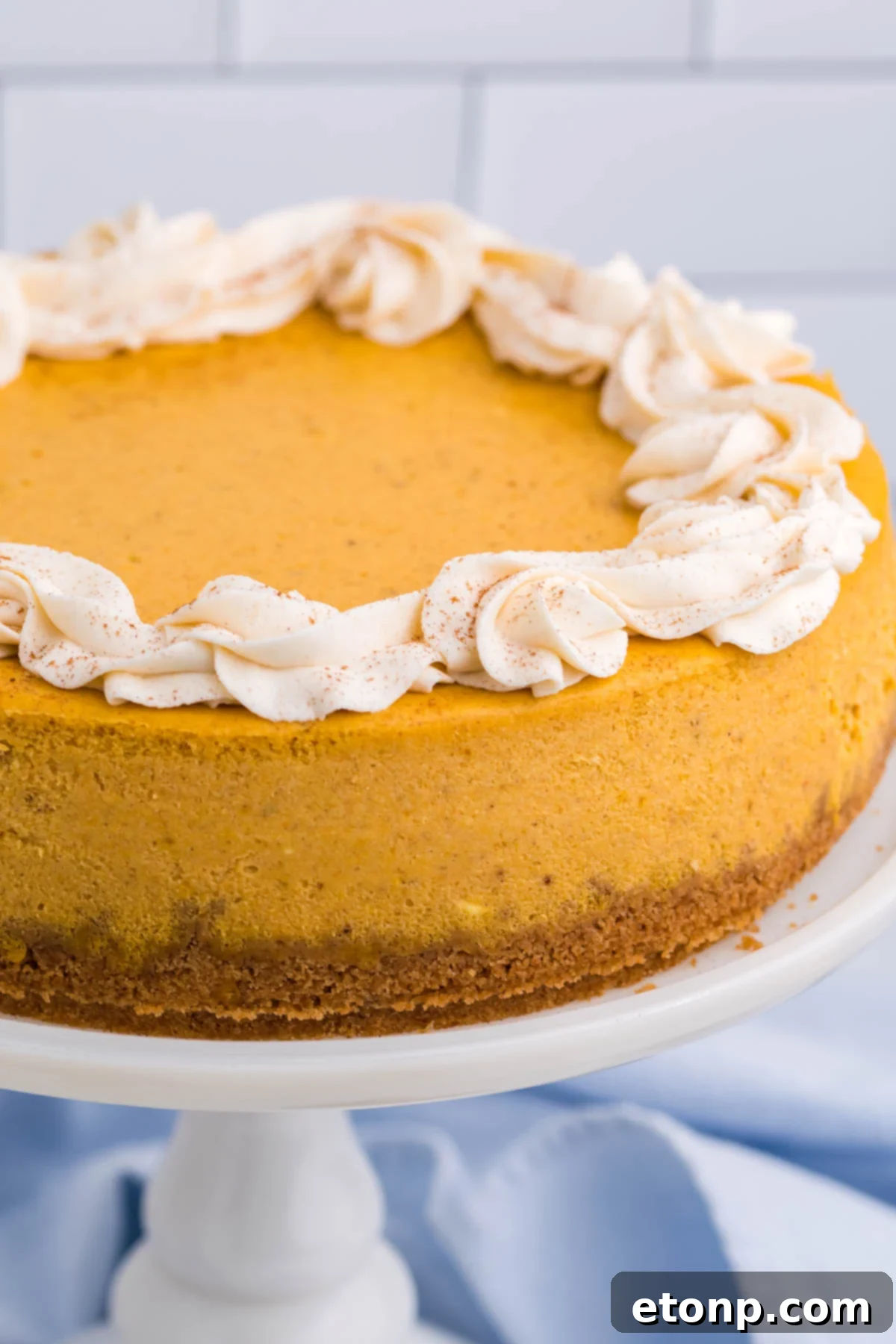 Pumpkin Cheesecake close up of the entire cheesecake uncut