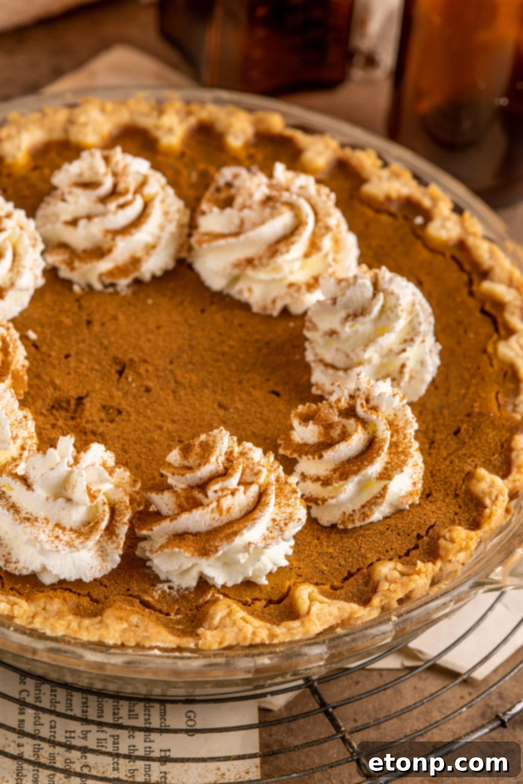 Velvet Pumpkin Dream Pie 11 Pumpkin Custard Pie topped with dollops of whipped cream