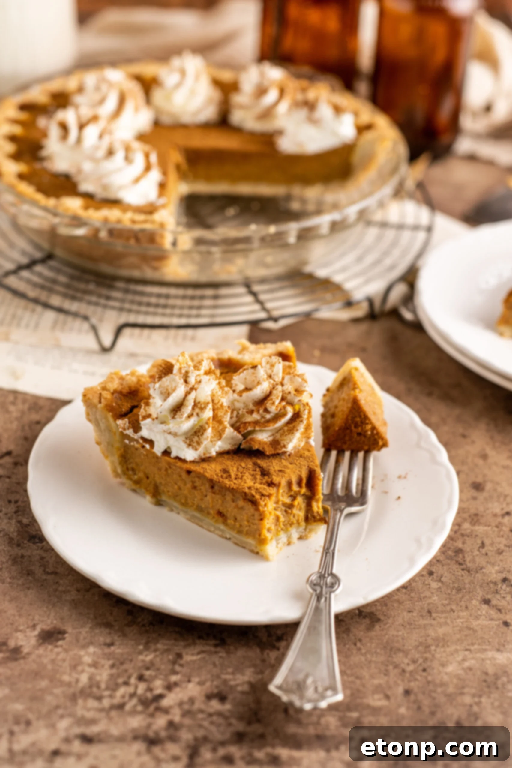 Velvet Pumpkin Dream Pie 12 Pumpkin Custard Pie slice with a bite missing on a fork
