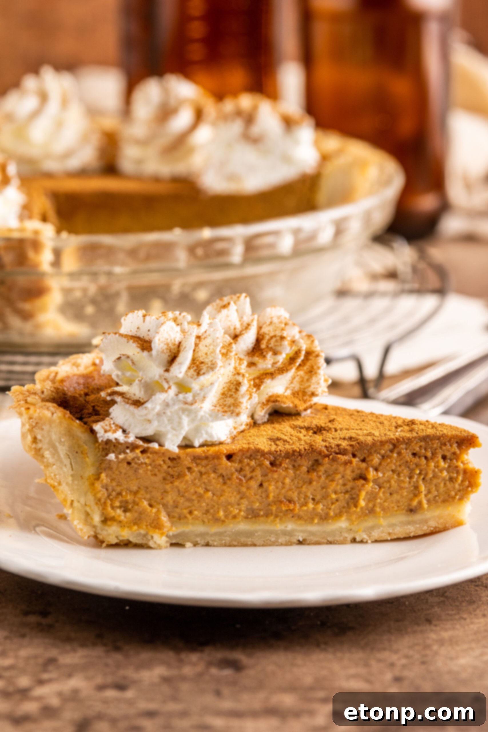 Velvet Pumpkin Dream Pie 13 Pumpkin Custard Pie slice on a white plate
