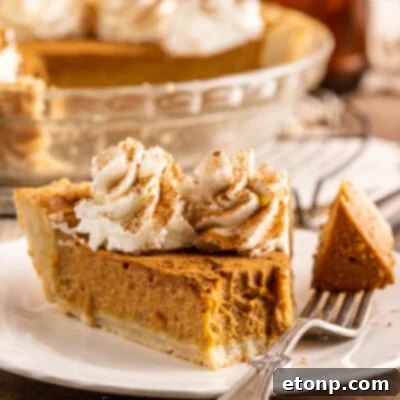 Velvet Pumpkin Dream Pie 14 Pumpkin Custard Pie topped with whipped cream in a clear pie dish
