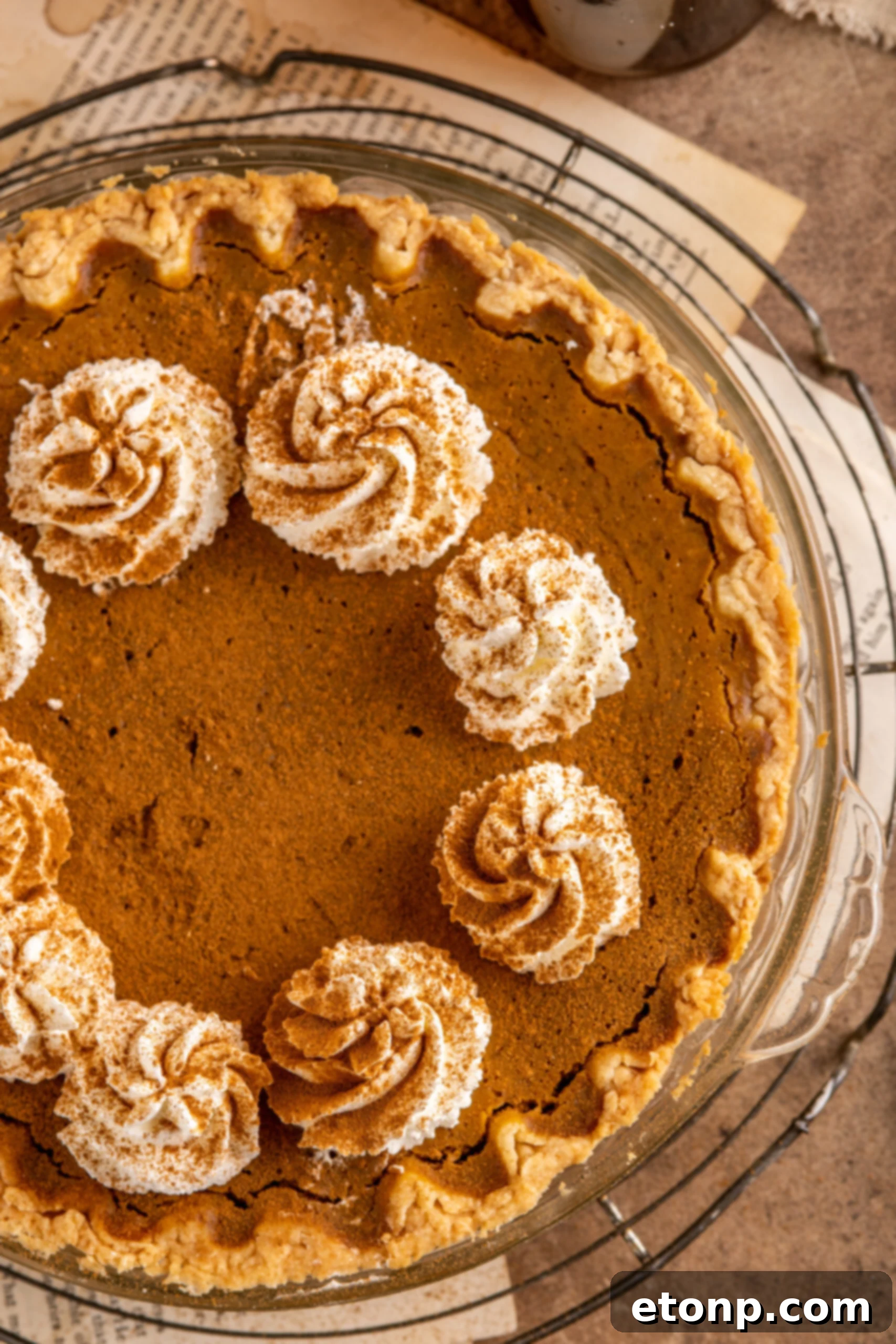 Velvet Pumpkin Dream Pie 5 Pumpkin Custard Pie in a pie dish topped with cinnamon and whipped cream