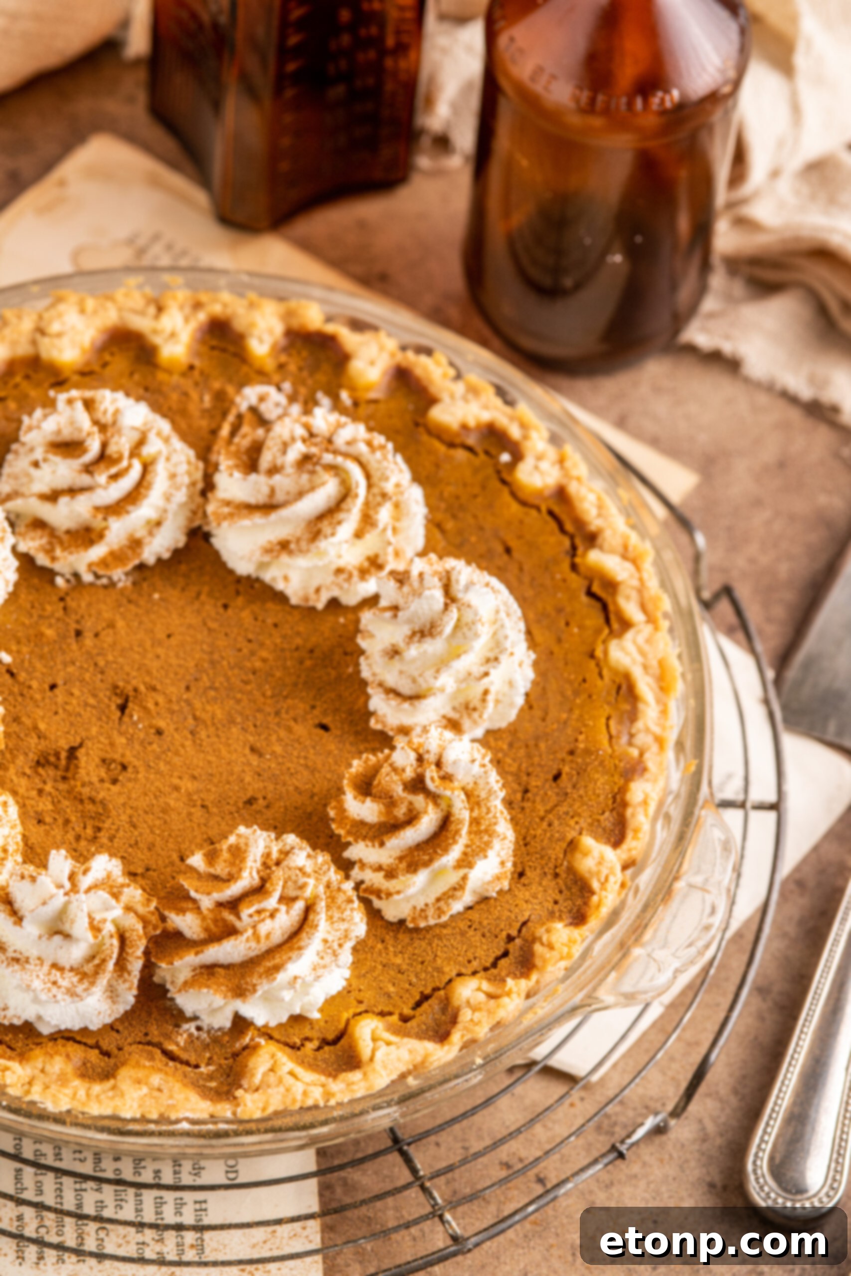 Velvet Pumpkin Dream Pie 6 Pumpkin Custard Pie overhead shot on a wood table