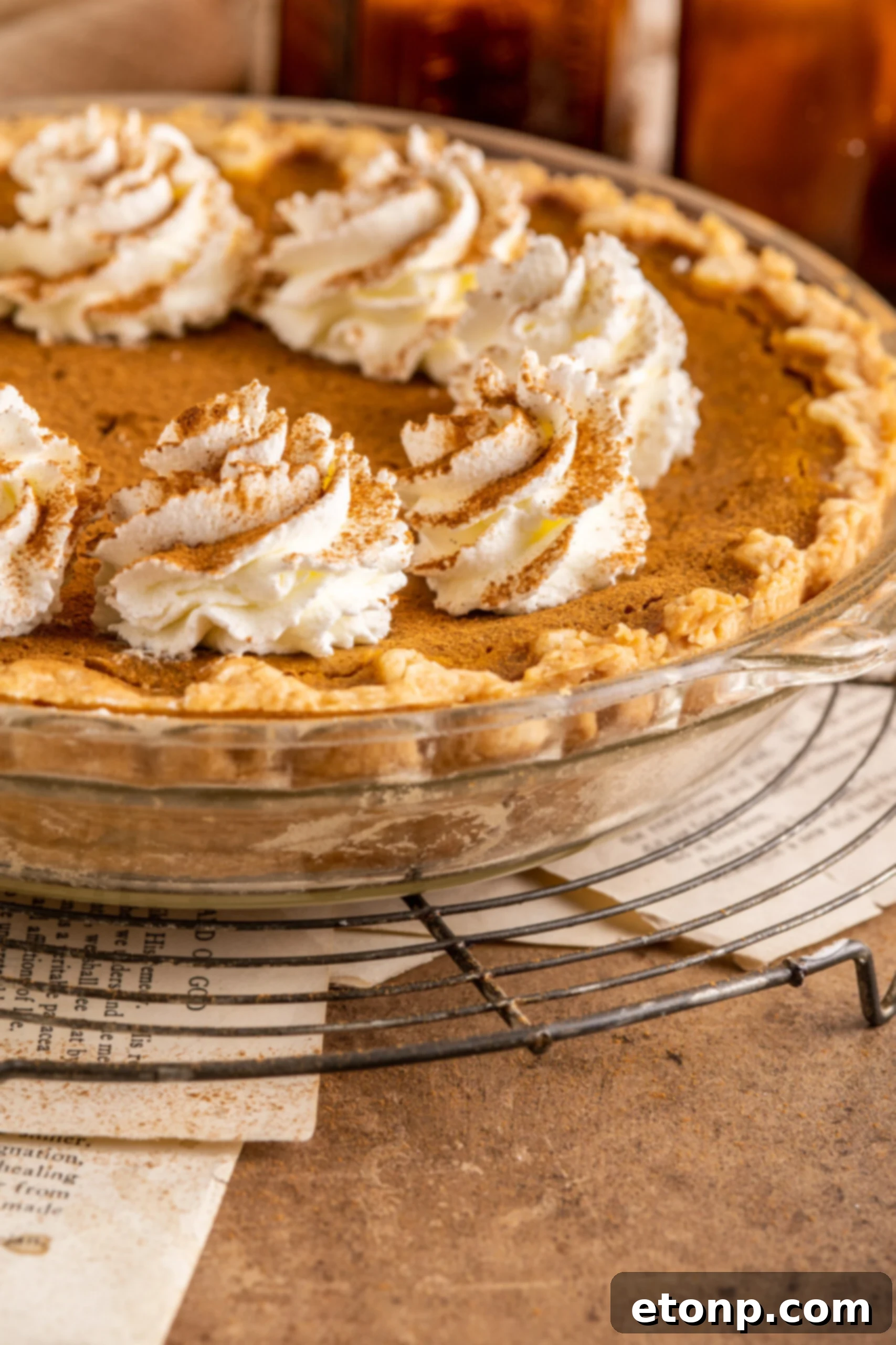 Velvet Pumpkin Dream Pie 7 Pumpkin Custard Pie uncut in a clear pie dish