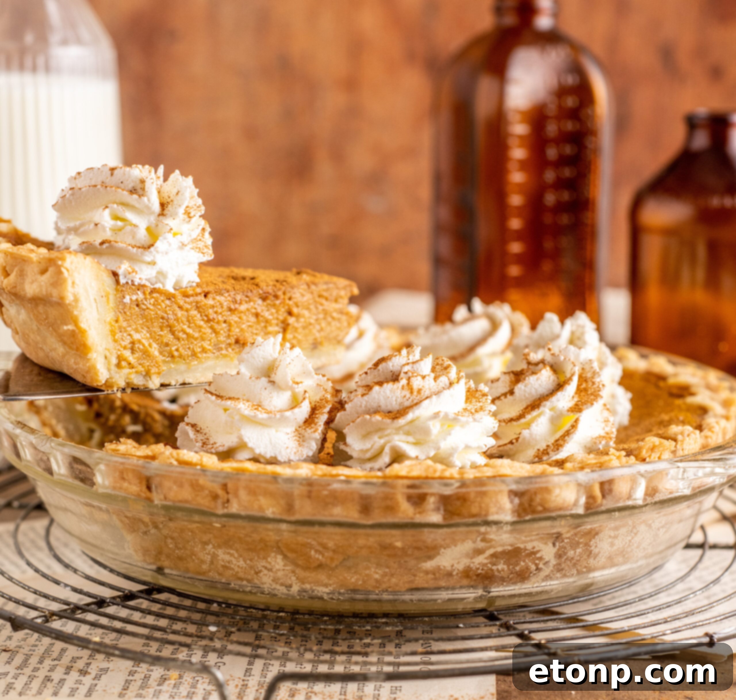 Velvet Pumpkin Dream Pie 8 Pumpkin Custard Pie in a clear pie dish with a slice being lifted up