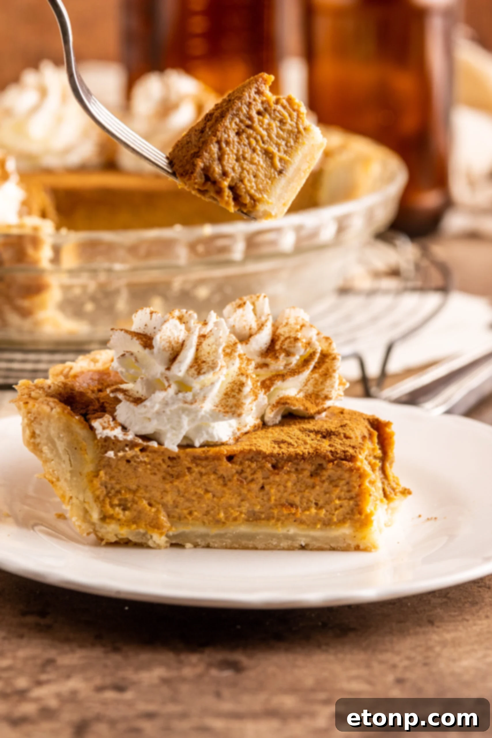 Velvet Pumpkin Dream Pie 10 Pumpkin Custard Pie slice with a fork lifting up a bite