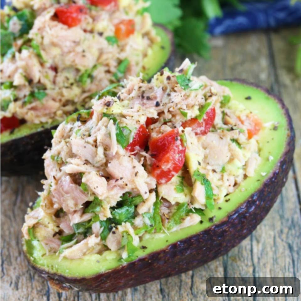 Your Culinary Bucket List Starts Here 11 Healthy tuna stuffed avocado boats