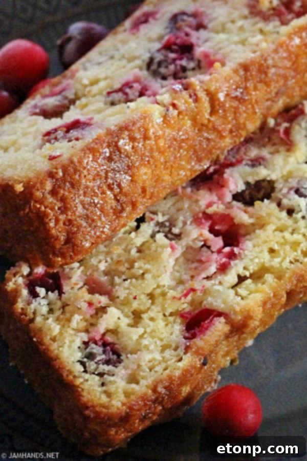 Your Culinary Bucket List Starts Here 19 Delicious cranberry orange bread loaf