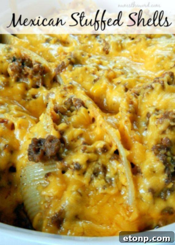 Your Culinary Bucket List Starts Here 7 Cheesy Mexican stuffed pasta shells