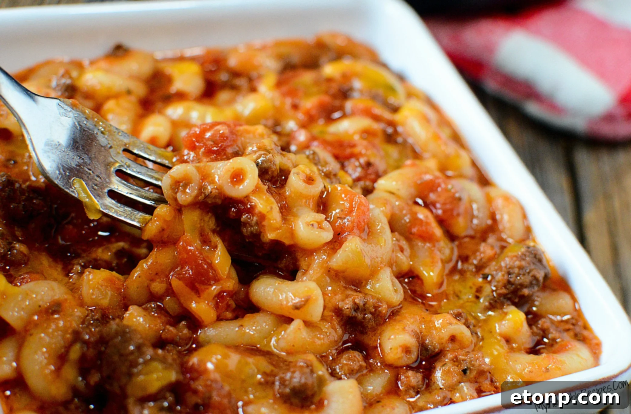 Homestyle Goulash 16 close up photo of Old Fashioned Goulash in big bowl