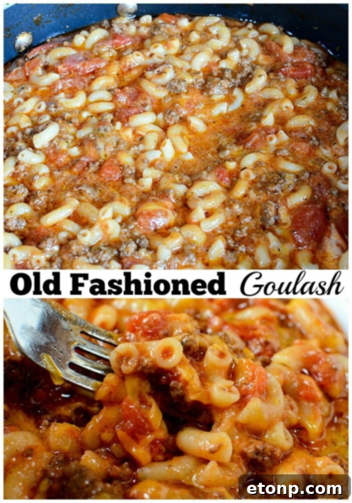 Homestyle Goulash 17 1