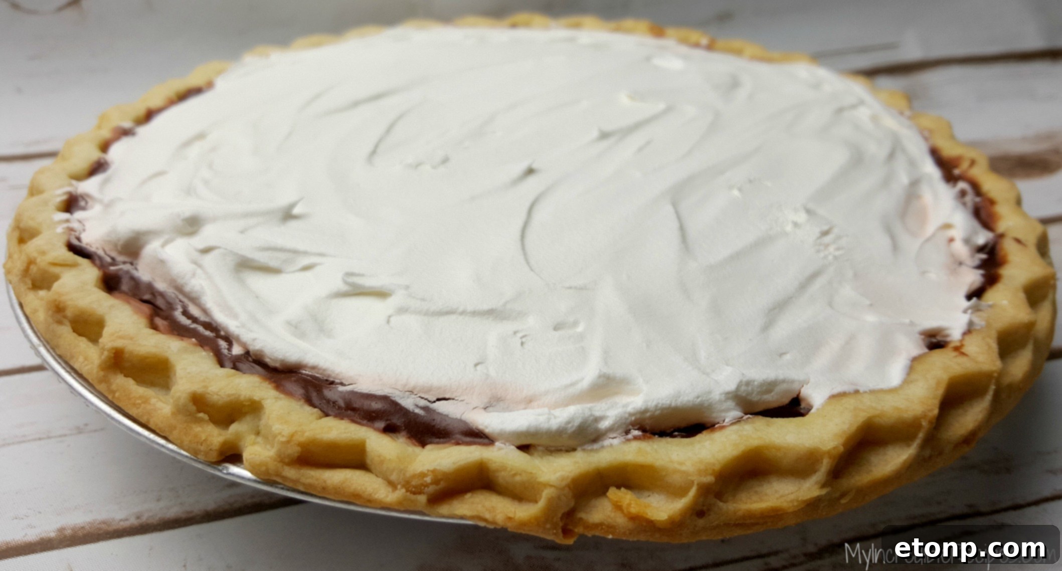 Variety of delicious pies