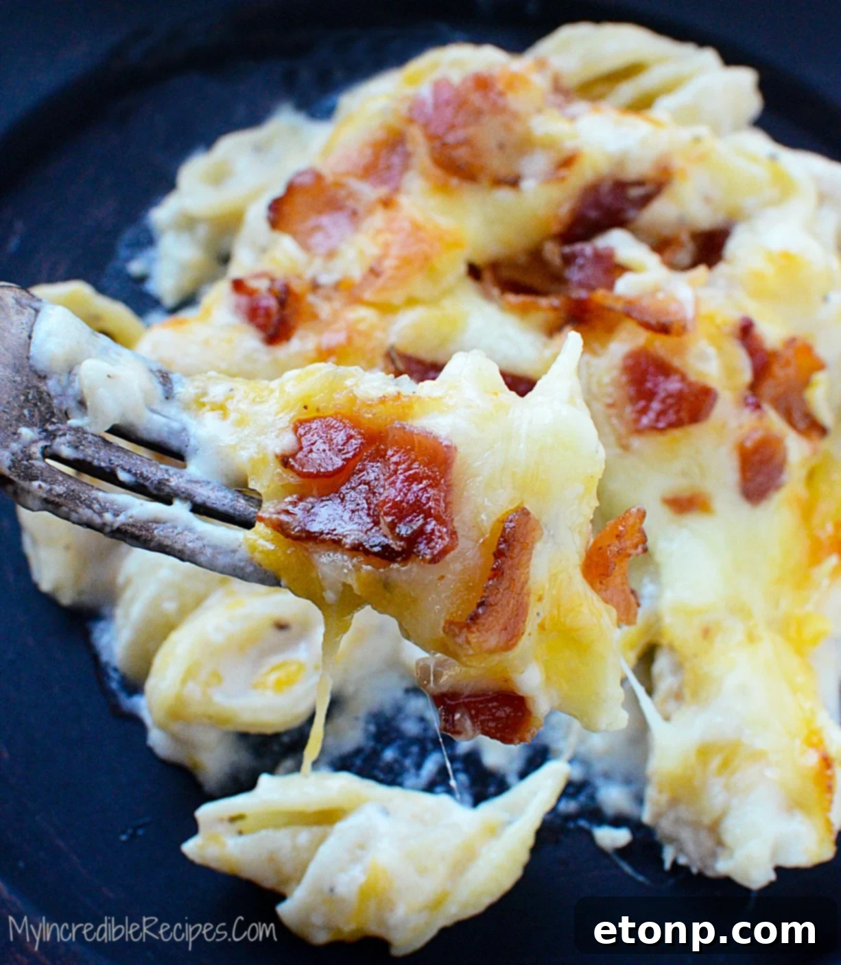 Ultimate Chicken Bacon Ranch Bake 2 Delicious Chicken Bacon Ranch Casserole ready to bake