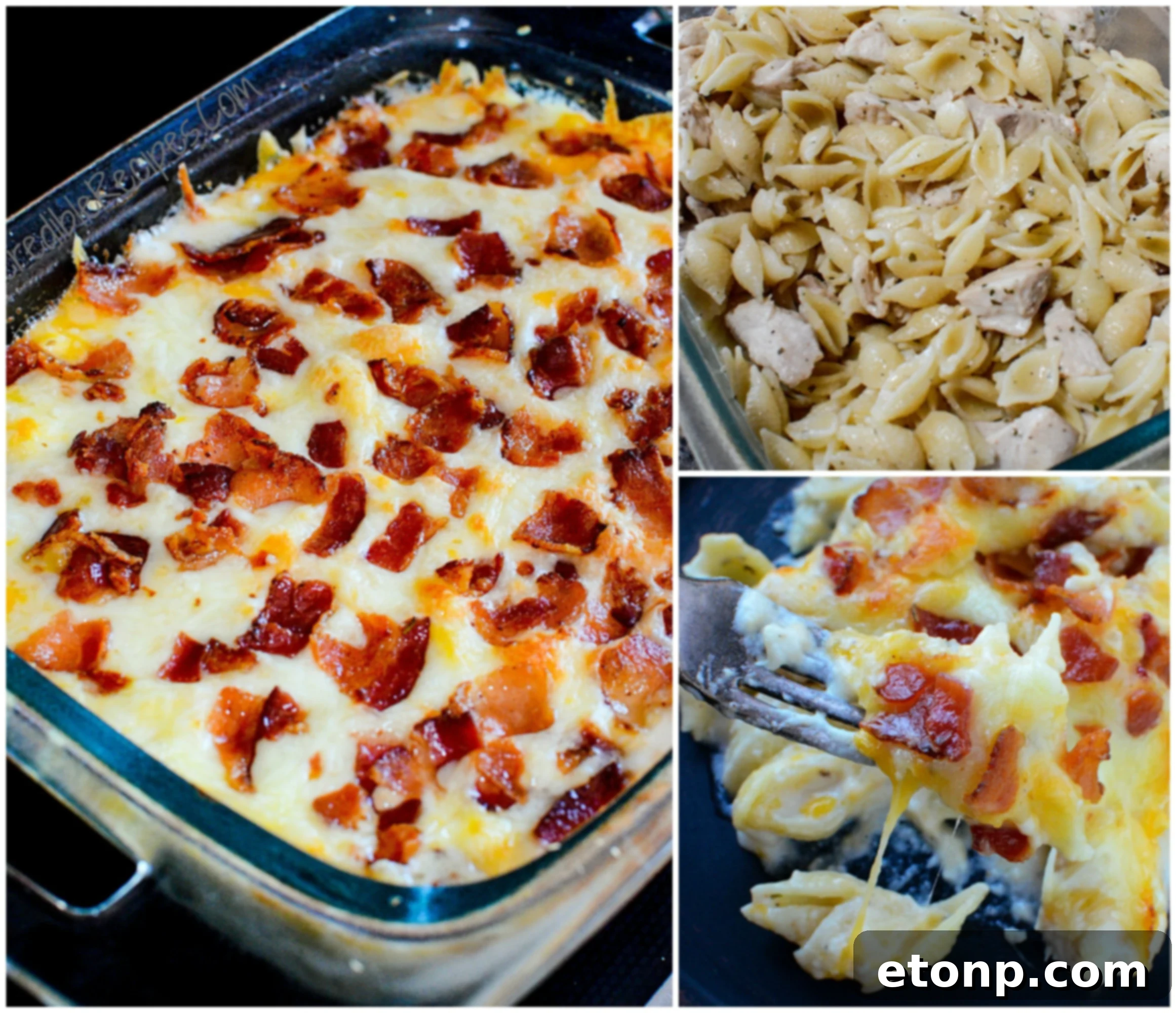 Ultimate Chicken Bacon Ranch Bake 14 Additional photo of Chicken Bacon Ranch Casserole
