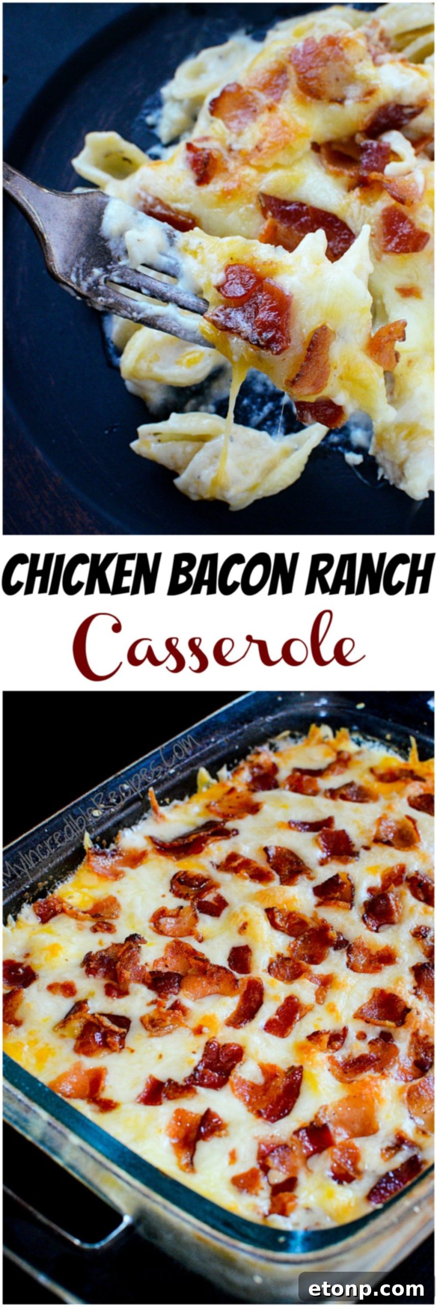 Ultimate Chicken Bacon Ranch Bake 15 Another perspective of Chicken Bacon Ranch Casserole