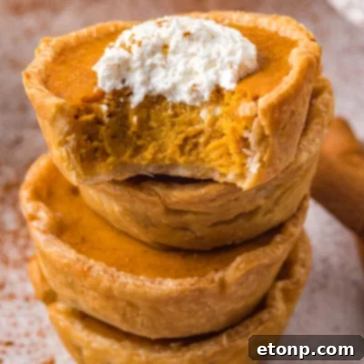 Mini Pumpkin Pies