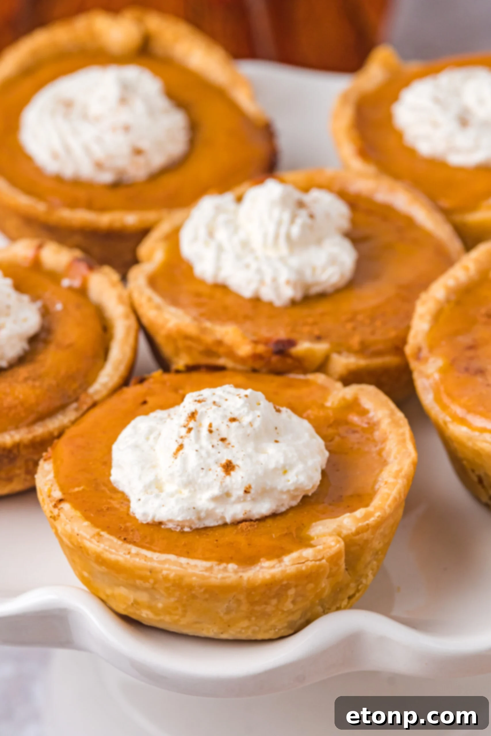 Mini Pumpkin Pies on a white serving platter close up shot